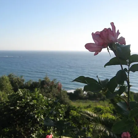 Areti Apartment Paramonas (Corfu)