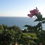 Areti Lejlighed Paramonas (Corfu)
